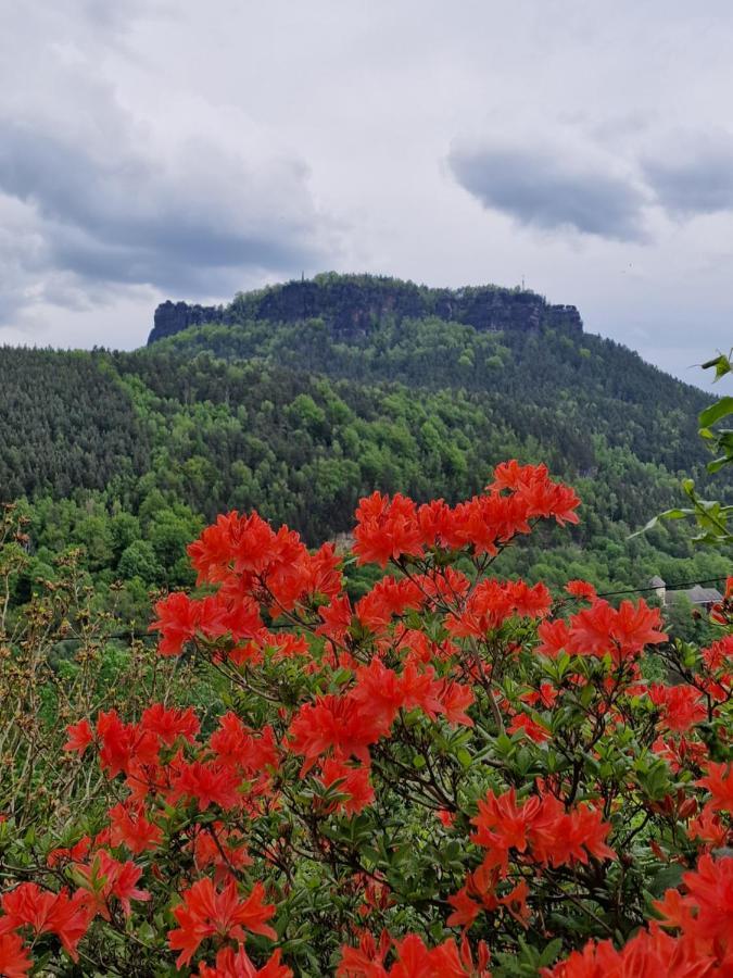 Tinyroom Mit Ausblick Konigstein an der Elbe Εξωτερικό φωτογραφία